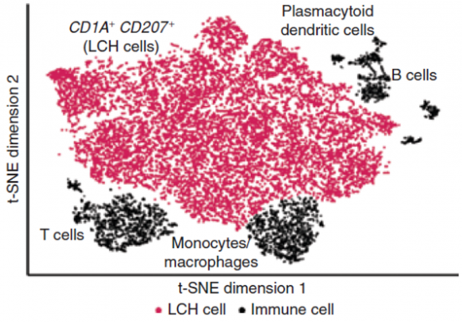 Stem-cell-based models