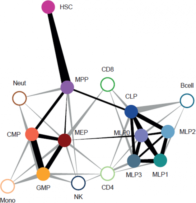 charting the molecular changes that occur in cells during organismal development